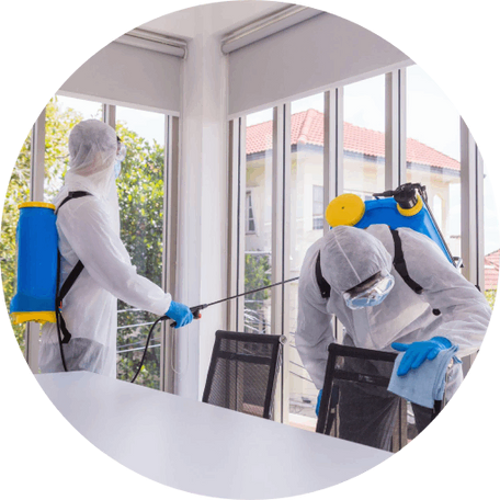 nettoyage d'experts